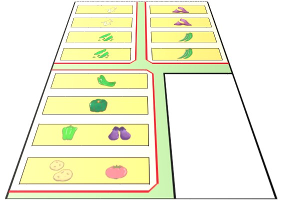 菜園の3D鳥瞰図