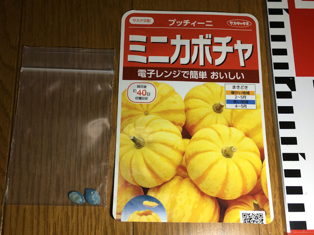 空飛ぶミニカボチャ　空中栽培　プッチィ・ーニプッチーニ