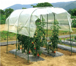 ミニトマト雨よけ市販品