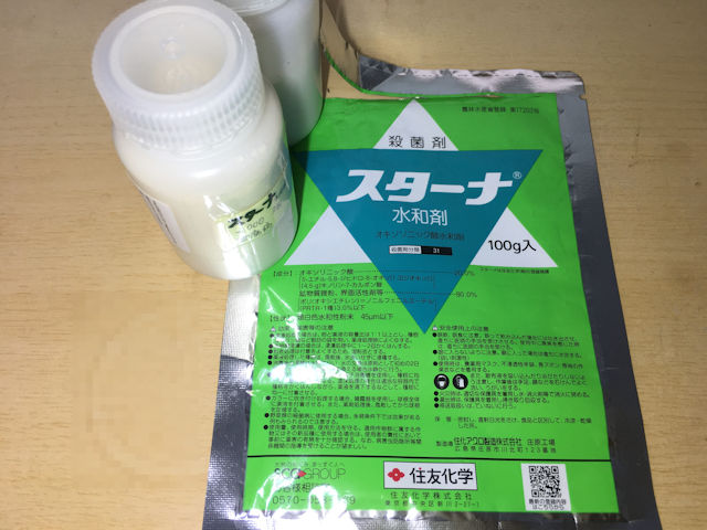 ズッキーニ 軟腐細菌病 スターナ水和剤