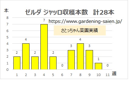 ズッキーニ立体栽培 ゼルダ ジャッロ 収穫本数