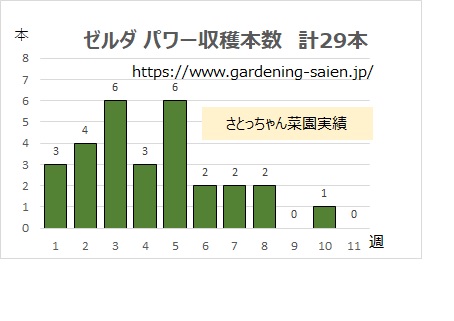 ズッキーニ立体栽培 ゼルダ パワー 収穫本数