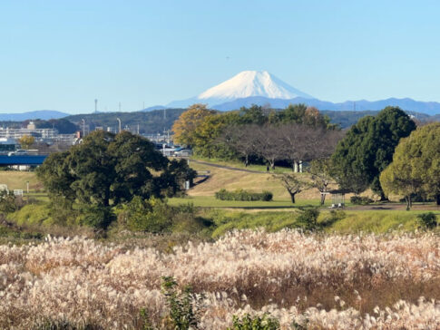 河原からススキと富士山の眺め