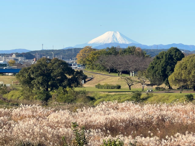 河原からススキと富士山の眺め