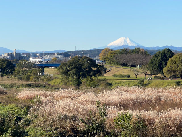 河原からススキと富士山の眺め