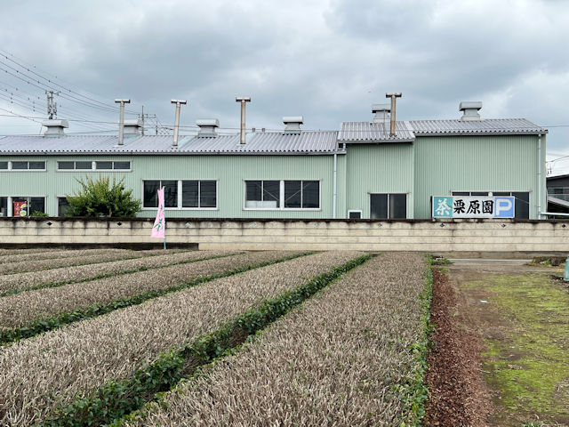 埼玉県狭山市　栗原園　和紅茶