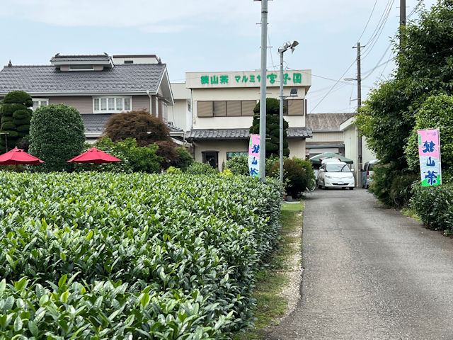 狭山市　宮野園　狭山紅茶 こころがfuwari 和紅茶