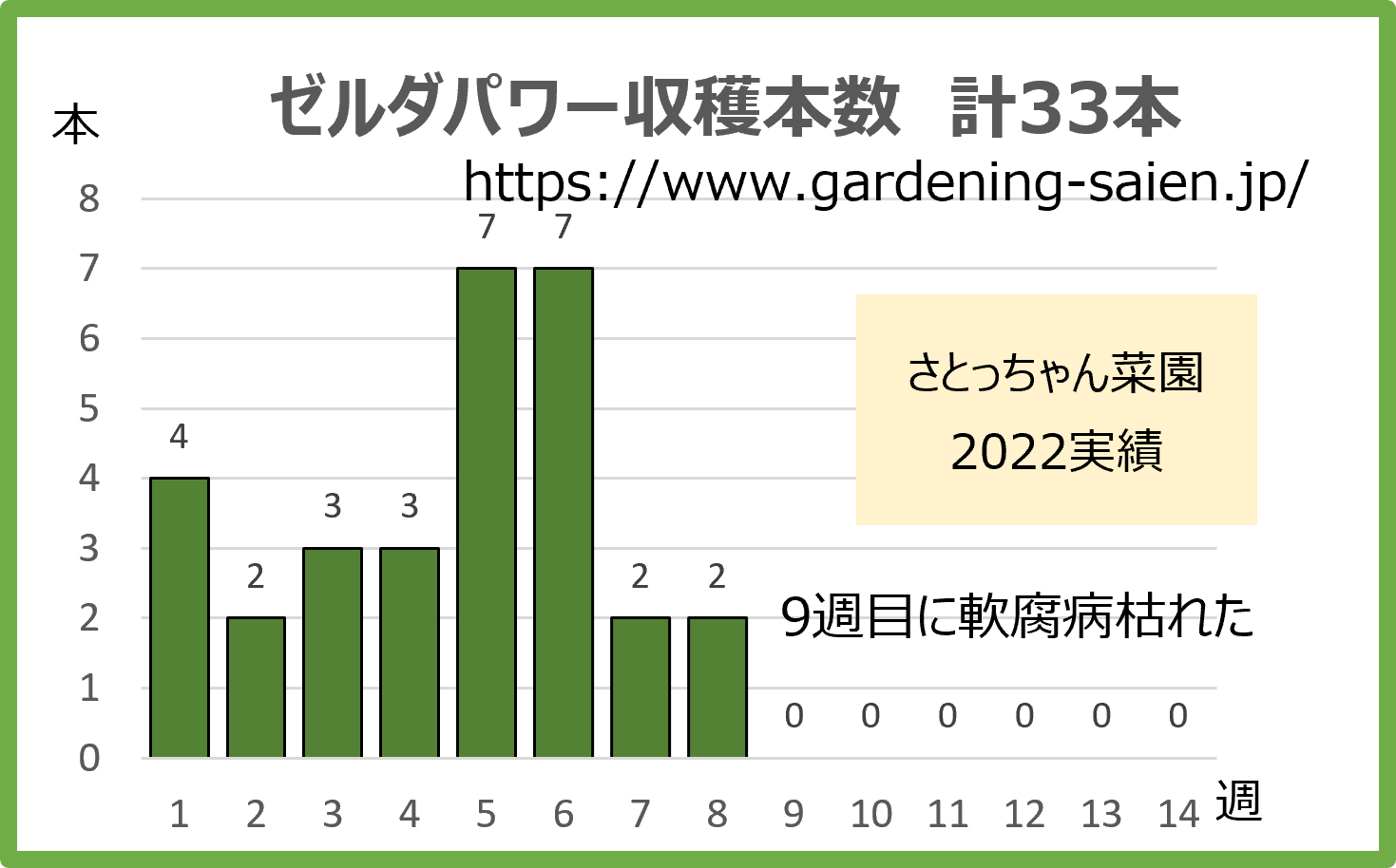 ズッキーニ立体栽培　ゼルダパワー収穫本数