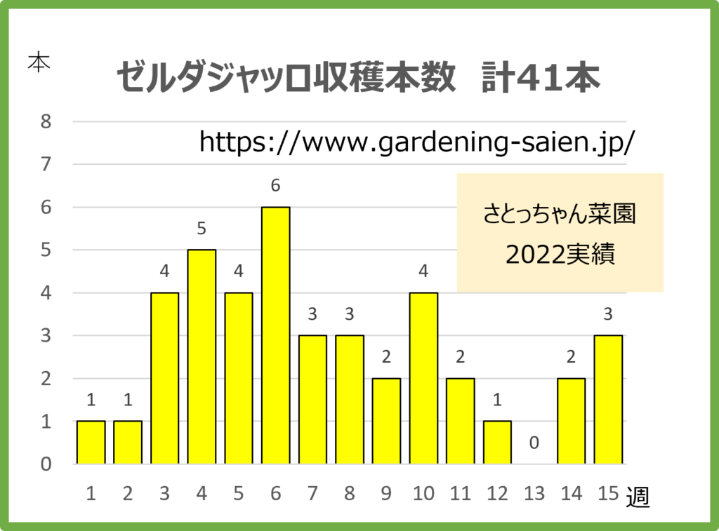 ズッキーニ立体栽培　ゼルダジャッロ収穫本数