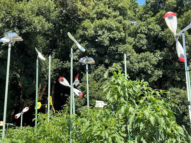 菜園風車 DAIMのキラリン風車とウィリージグ・シーガルが合体