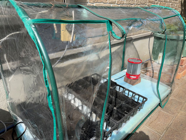 ズッキーニやミニカボチャの種まきと育苗用の自作温室