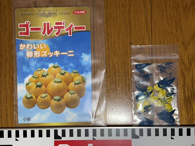 ズッキーニの種まき 神田育種農場 ゴールディー