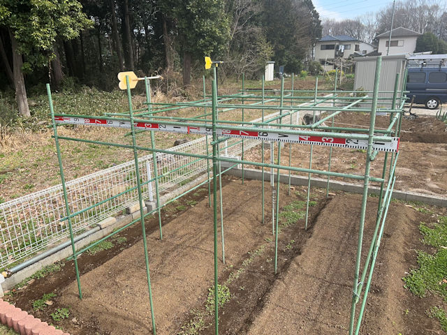 空飛ぶカボチャ空中栽培　園芸支柱で棚自作