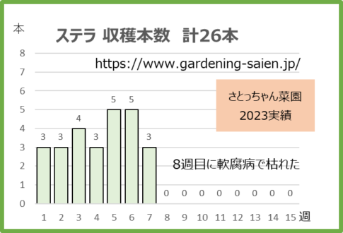 ステラ2023ズッキーニ収穫本数