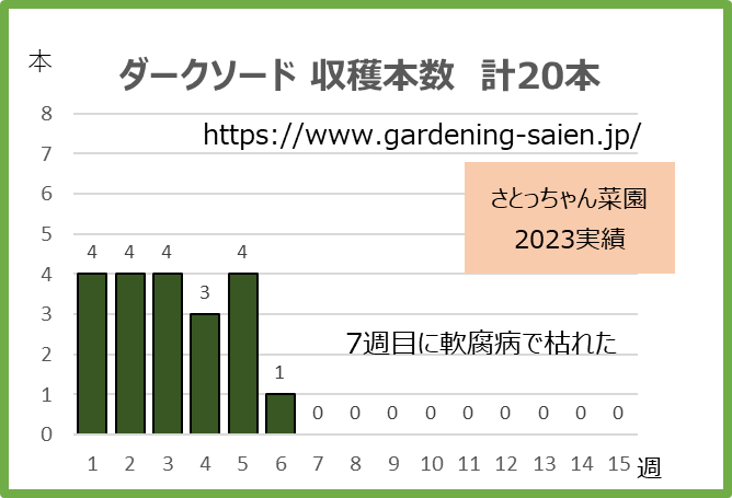 ダークソード2023ズッキーニ収穫本数