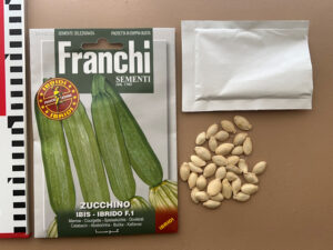 Franchi sementi ZUCCHINO IBIS IBRIDO F.1 フランキセメンティ アイビス ハイブリッド