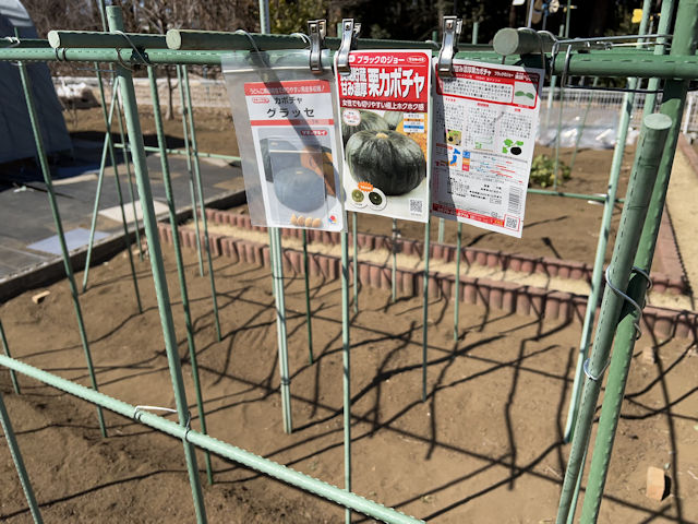 カボチャ空中栽培 園芸支柱で棚自作 ブラックのジョー グラッセ