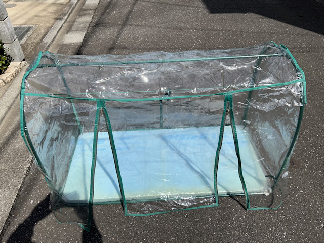 ズッキーニとカボチャを加温保温して育苗