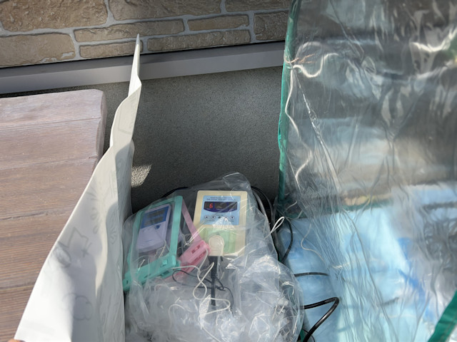 ズッキーニとカボチャを加温保温して育苗