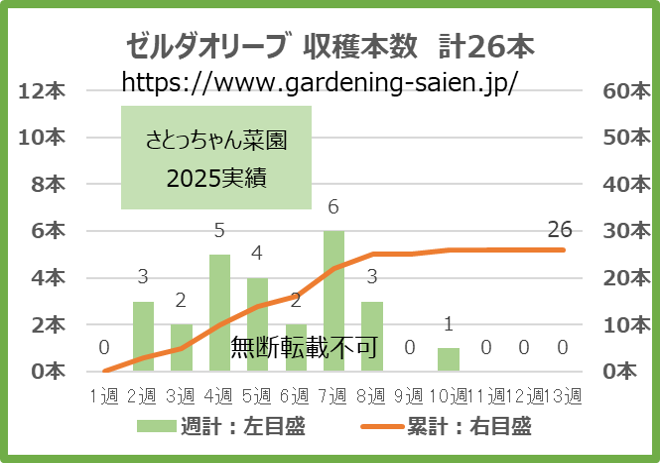 ゼルダオリーブ 黄緑色 ズッキーニ 立体栽培 収穫本数