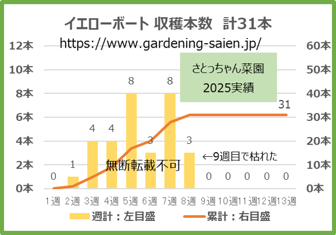 イエローボート 黄色 ズッキーニ 立体栽培 収穫本数