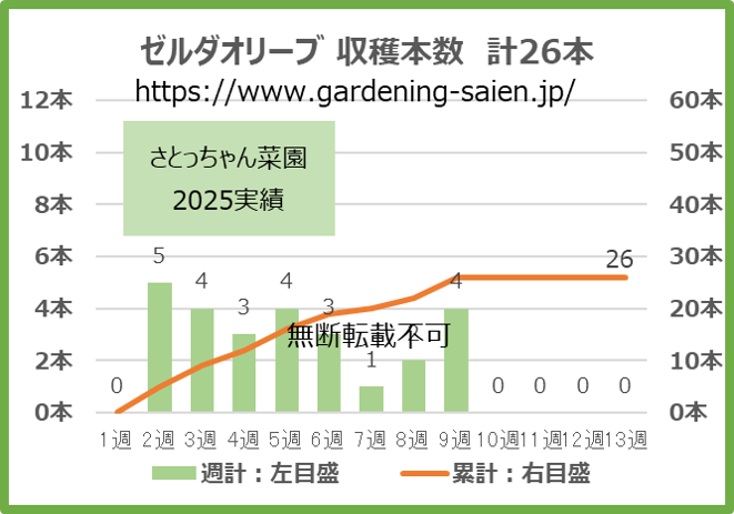ゼルダオリーブ 黄緑色 ズッキーニ 立体栽培 収穫本数