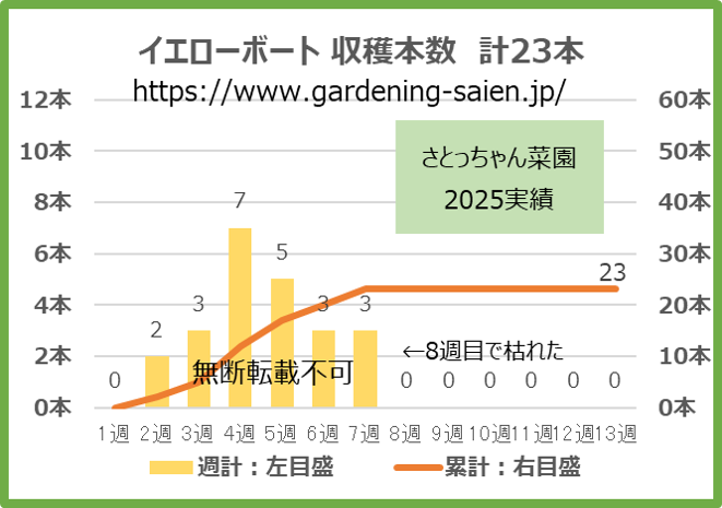 イエローボート 黄色 ズッキーニ 立体栽培 収穫本数