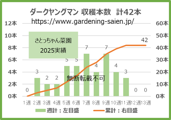 ダークヤングマン 緑色 ズッキーニ 立体栽培 収穫本数