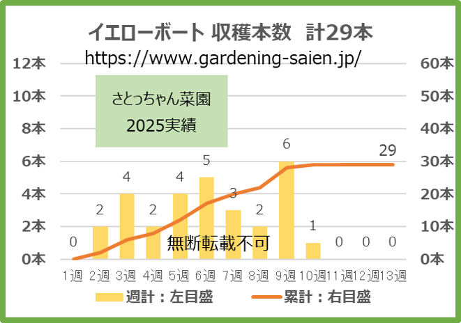 イエローボート 黄色 ズッキーニ 立体栽培 収穫本数