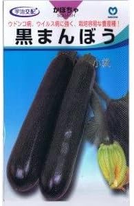 ズッキーニ 緑色 黒まんぼう