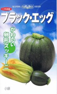 丸ズッキーニ 緑色 ブラックエッグ