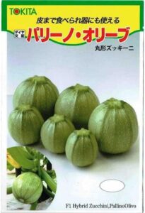 丸ズッキーニ パリーノオリーブ黄緑色
