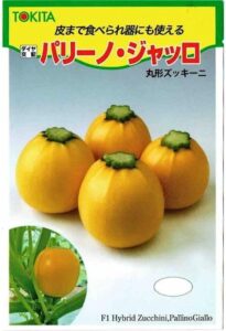 丸ズッキーニ パリーノジャッロ黄色