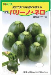 丸ズッキーニ パリーノネロ緑色