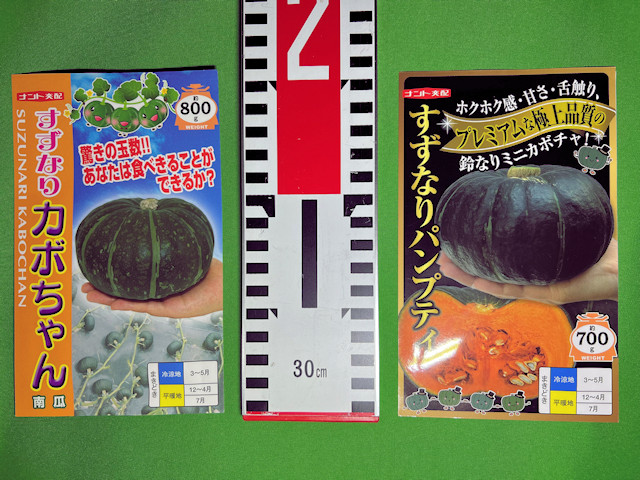 ミニカボチャ すずなりパンプティ すずなりカボちゃん ナント種苗