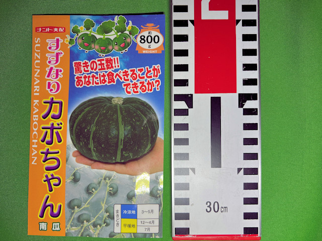 ミニカボチャ すずなりパンプティ すずなりカボちゃん ナント種苗