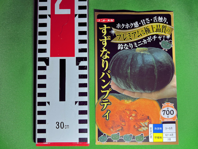 ミニカボチャ すずなりパンプティ すずなりカボちゃん ナント種苗