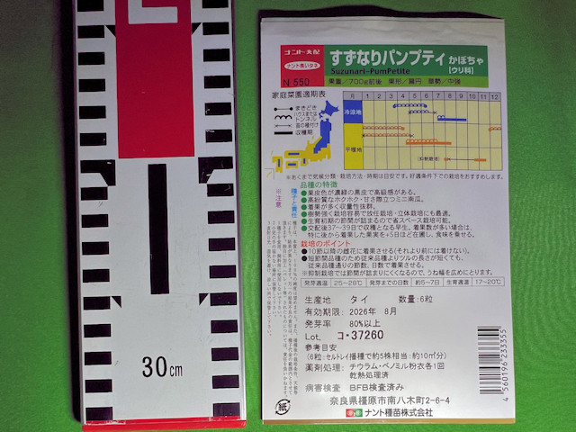 ミニカボチャ すずなりパンプティ すずなりカボちゃん ナント種苗