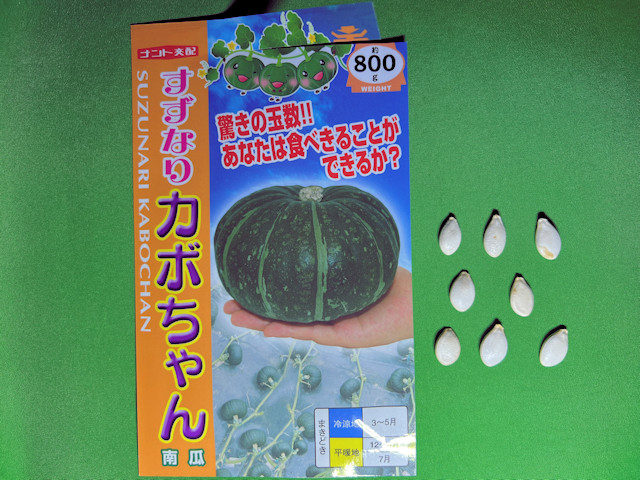 ミニカボチャ すずなりパンプティ すずなりカボちゃん ナント種苗