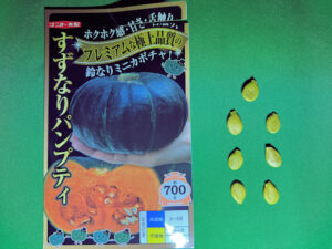 ミニカボチャ すずなりパンプティ すずなりカボちゃん ナント種苗