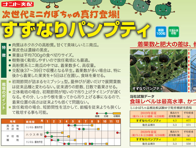 ミニカボチャ すずなりパンプティ すずなりカボちゃん ナント種苗