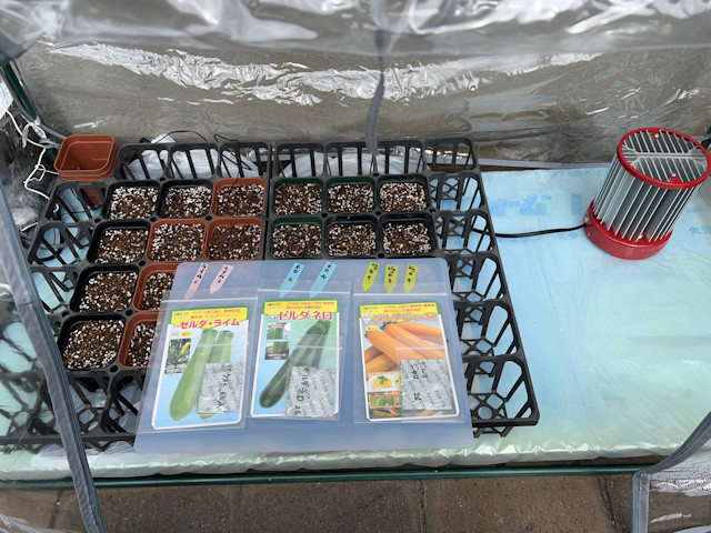 種まき ズッキーニ ゼルダ ライム ネロ ジャッロ