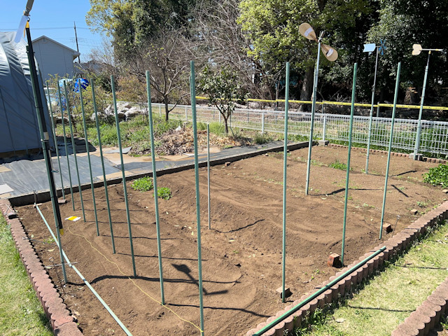 ミニカボチャ　空中栽培　棚自作