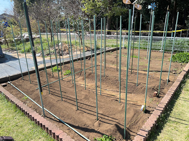 ミニカボチャ　空中栽培　棚自作