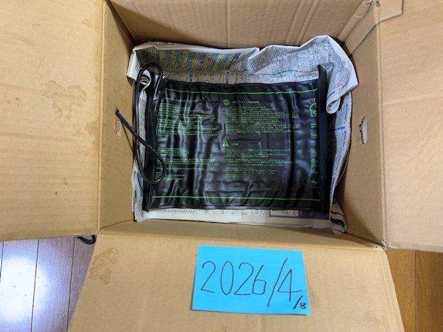 サトイモ 親芋 芽出し