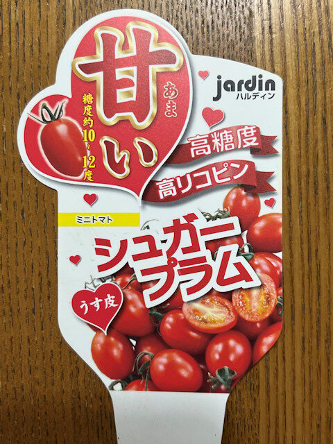 甘いミニトマト おすすめ品種
