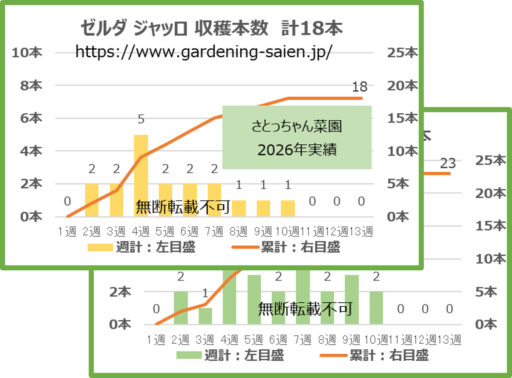 ゼルダジャッロ 黄色 ズッキーニ 立体栽培 収穫本数