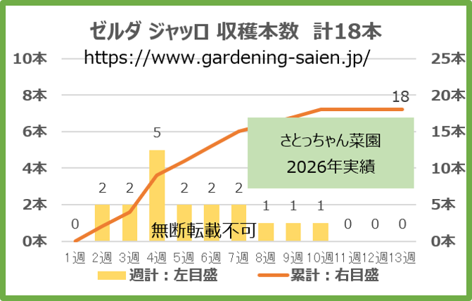 ゼルダジャッロ 黄色 ズッキーニ 立体栽培 収穫本数